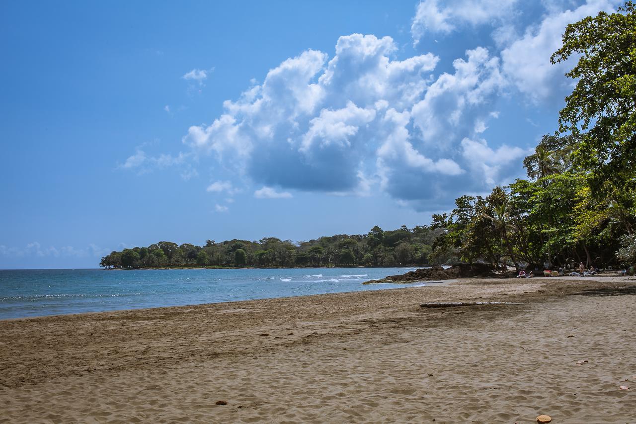 Lapalapa Beachfront Hotel Puerto Viejo de Talamanca Dış mekan fotoğraf