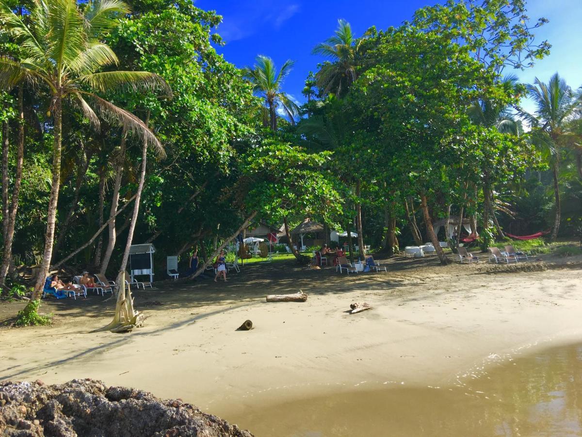 Lapalapa Beachfront Hotel Puerto Viejo de Talamanca Dış mekan fotoğraf