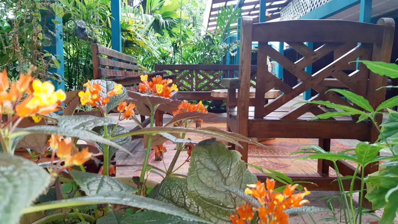 Lapalapa Beachfront Hotel Puerto Viejo de Talamanca Dış mekan fotoğraf