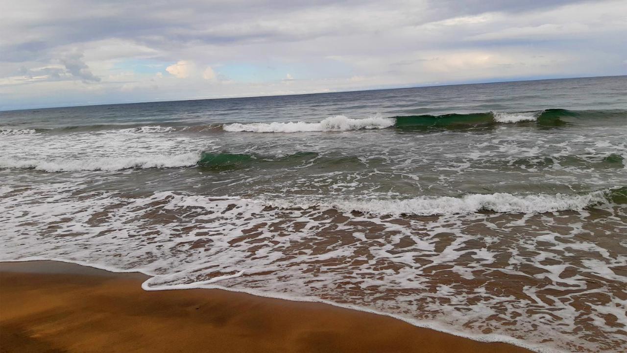 Lapalapa Beachfront Hotel Puerto Viejo de Talamanca Dış mekan fotoğraf